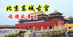 131美女爽歪歪中国北京-东城古宫旅游风景区
